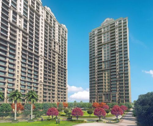 WhatsApp Image 2026-03-07 at 14.42.41