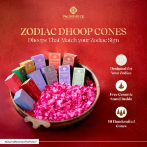 WhatsApp Image 2026-03-11 at 13.13.02